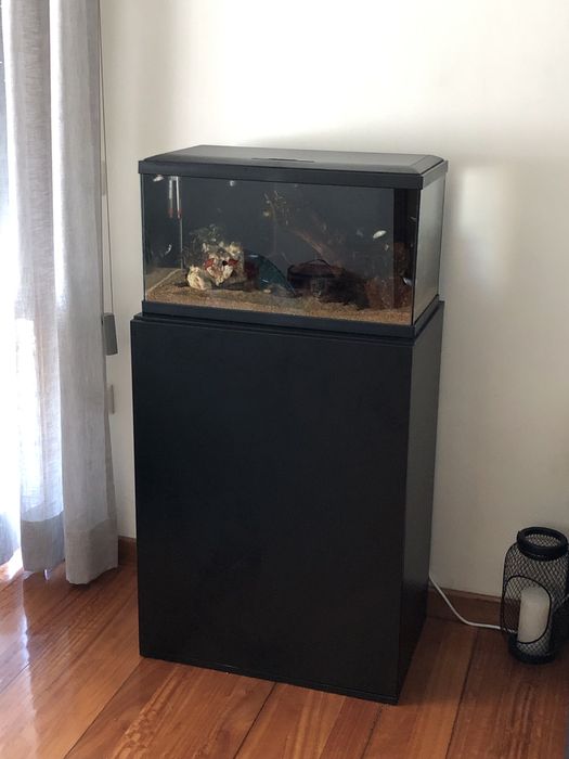 Aquario 60L com Movel