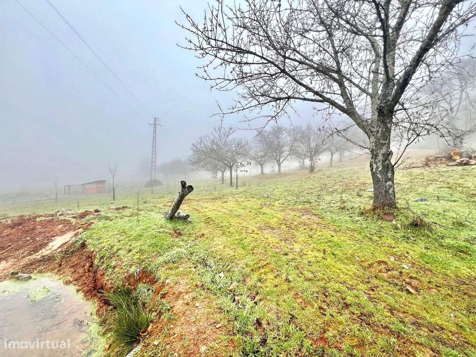 Terreno com 2 hectares em Vilar de Ossos, Vinhais