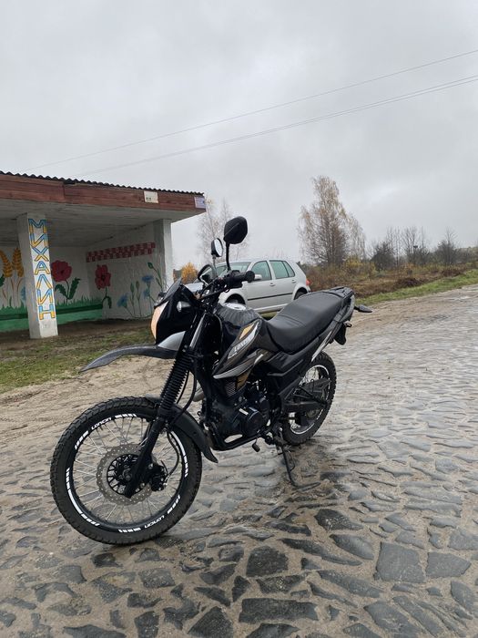 Продам лонкин прус