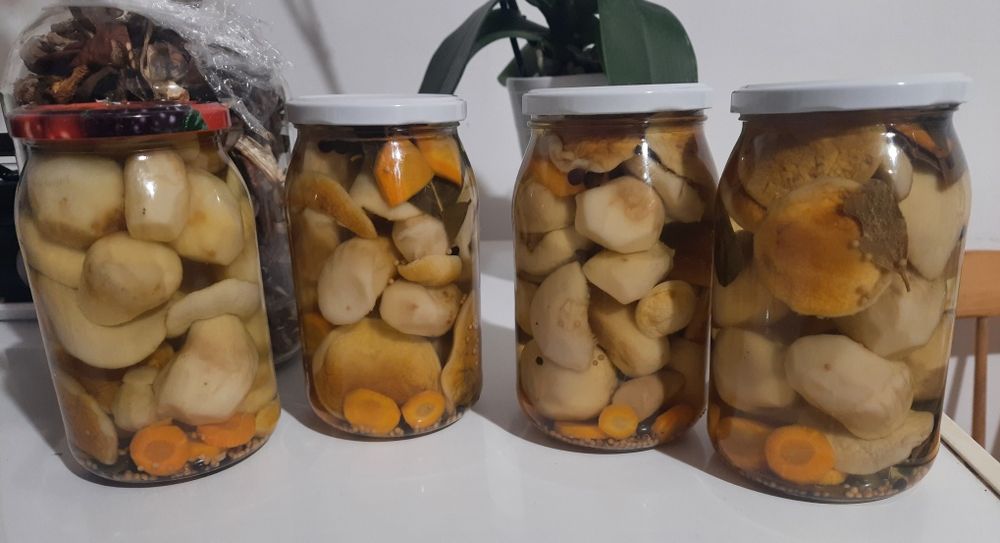 Grzyby świeże oraz marynowane , prawdziwki