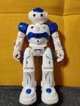 Cady wida - inteligentny robot zdalnie sterowany