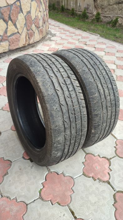 Шини 215/55 R17 Douglas Performance