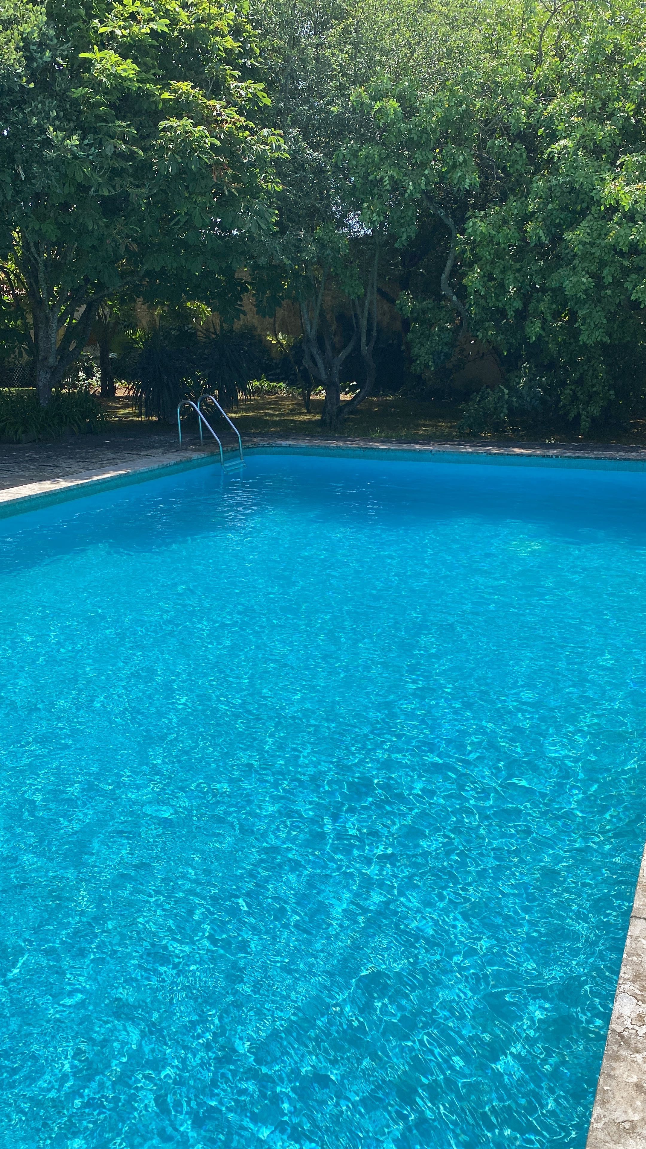 Limpeza/recuperações de piscinas.