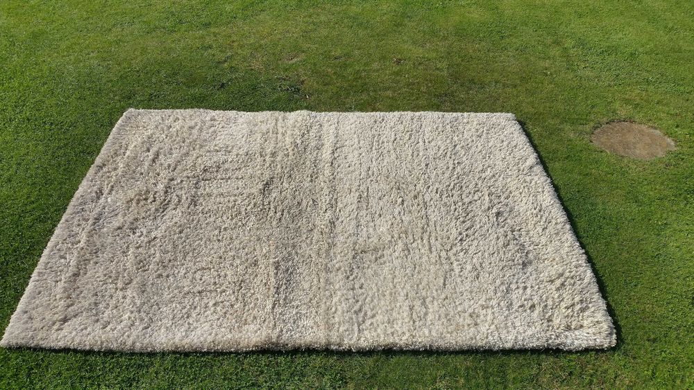 Dywan Shaggy Super Soft 160x230cm Beżowy