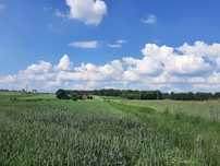 Wieszowa do sprzedaży 8848 m2 działka budowlano-rolna