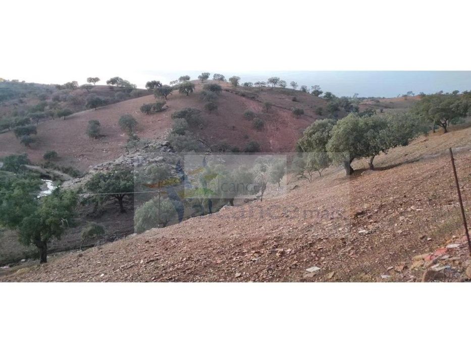 Propriedade com 9 hectares em Vila Nova de São Bento