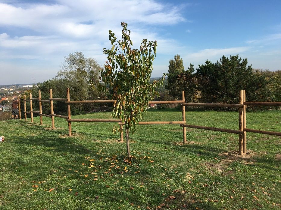Padok, ogrodzenie dla koni, wybieg, HIT ze Swadzimia