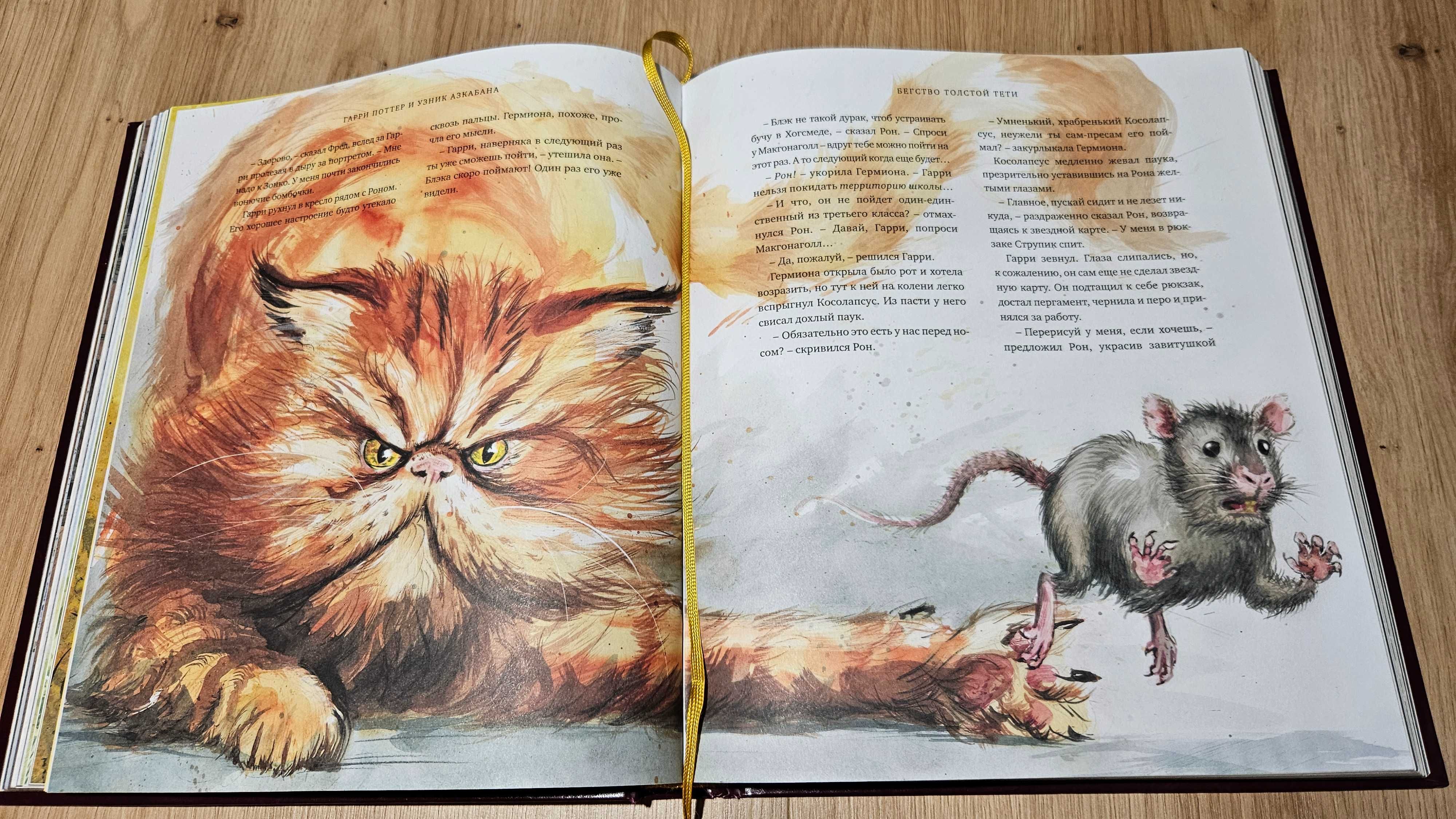 Harry Potter i więzień Azkabanu: ilustrowane wydanie (rosyjski)