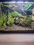 Akwarium       25l