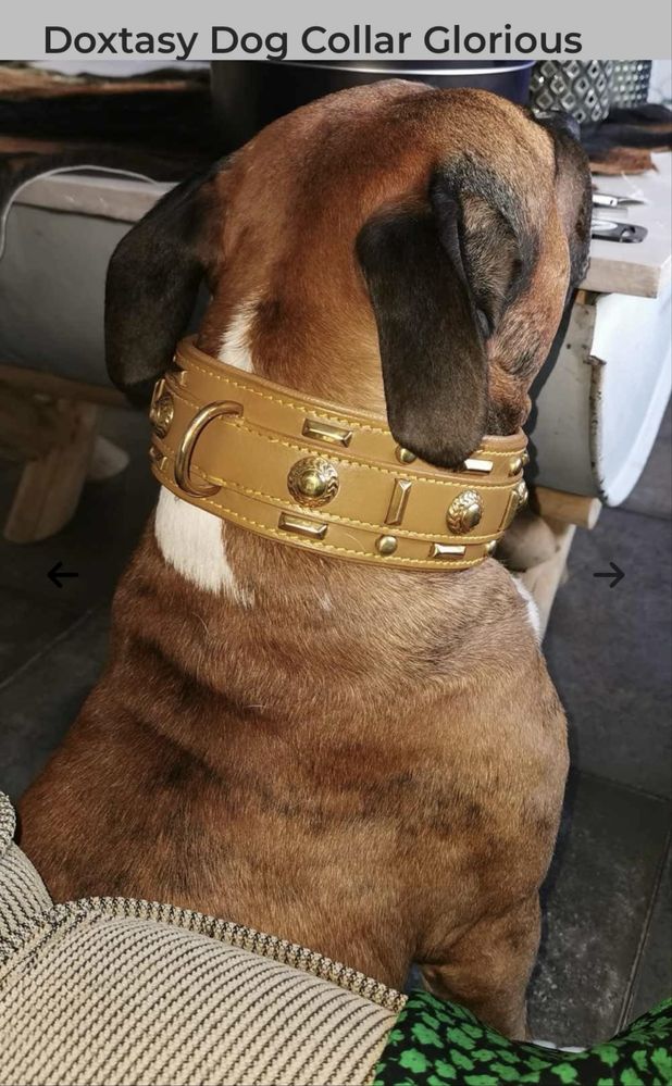 Нашийник для великих собак Doxtasy – Halsband – Glorious Tan