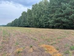 Działka rolna 1.46 ha, Białki gm. Tłuszcz