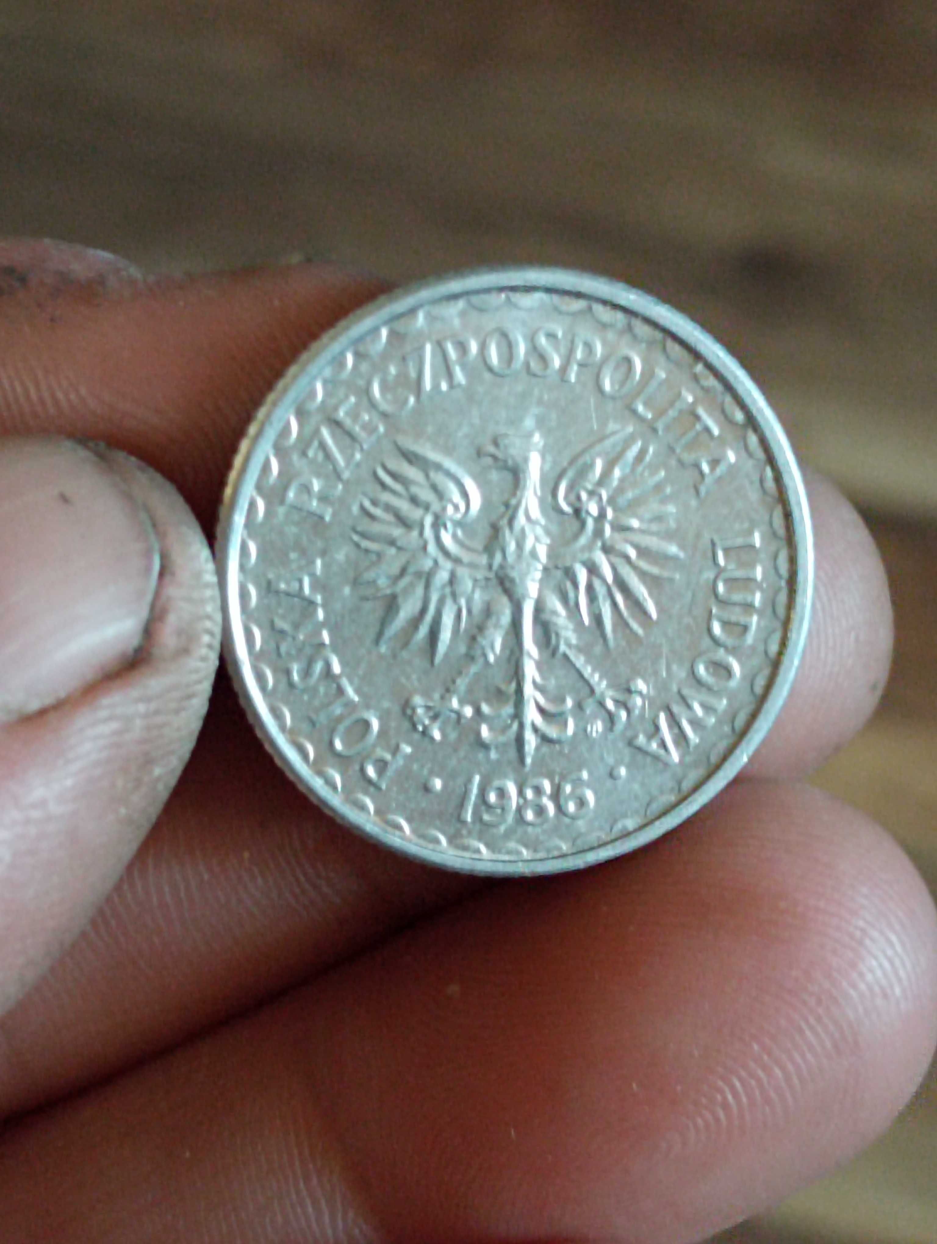 Sprzedam monete 1 zloty 1986r