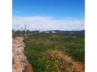 Terreno Rústico com 3820m2, Tavira, Algarve