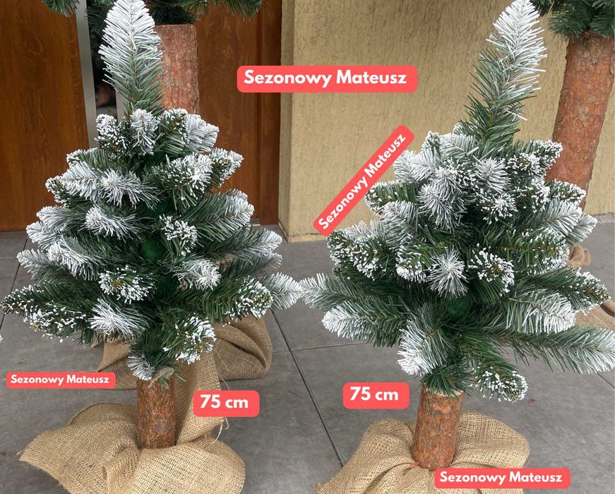 Sosna diamentowa na pniu 180 cm Choinka sztuczna 220 cm 160 cm choinki