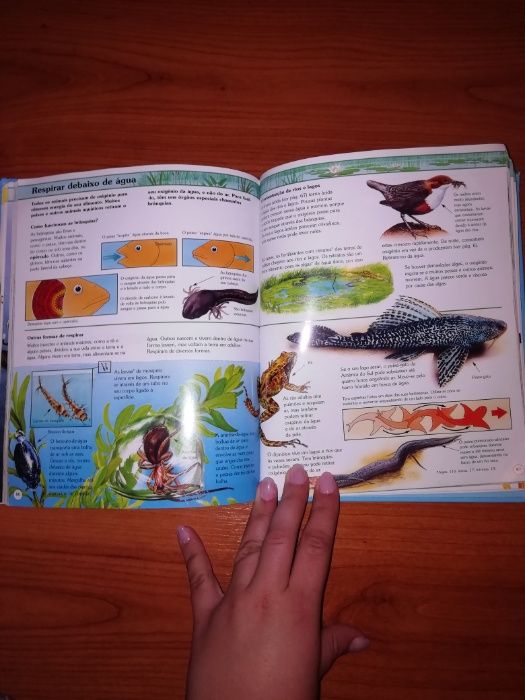 "A minha primeira enciclopédia da Natureza"