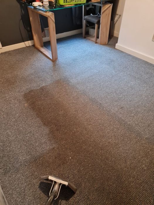 Pranie, czyszczenie dywanów, tapicerki meblowej oraz samochodowej