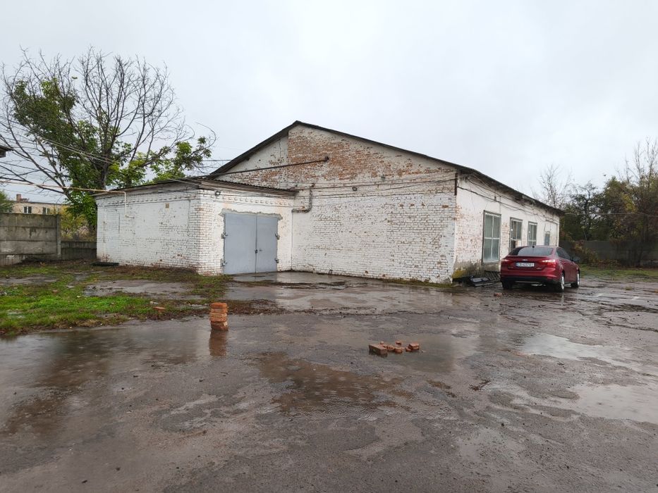 Здам в оренду.Дешево.