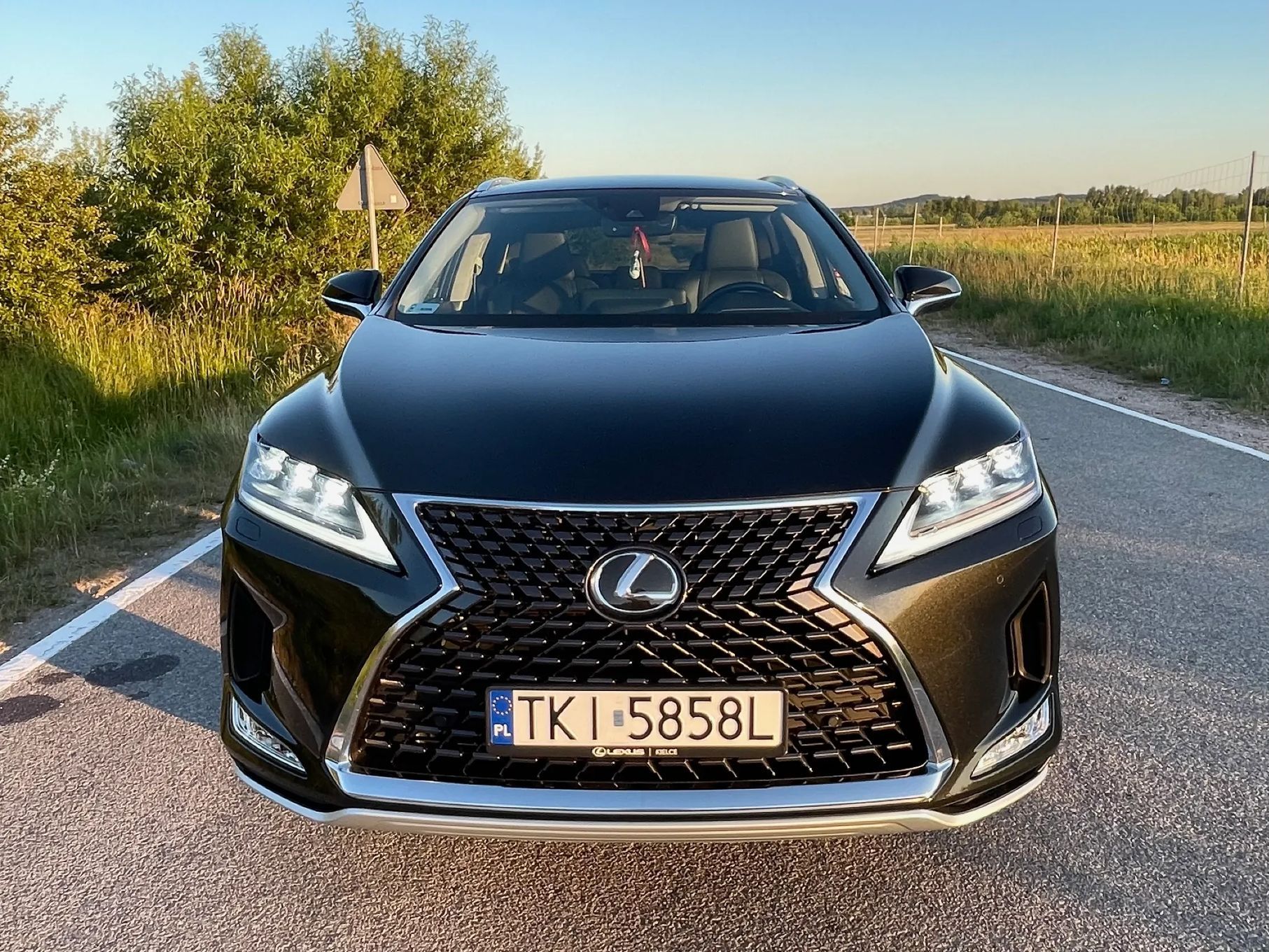Lexus RX LEXUS RX 300 Business Edition +