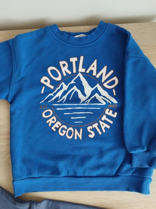 Dwie bluzy H&M dla chłopca