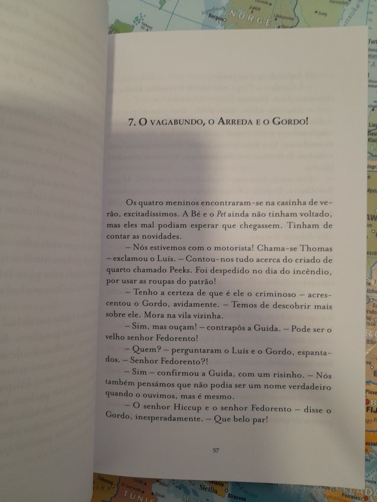 Livro- O mistério da casa queimada