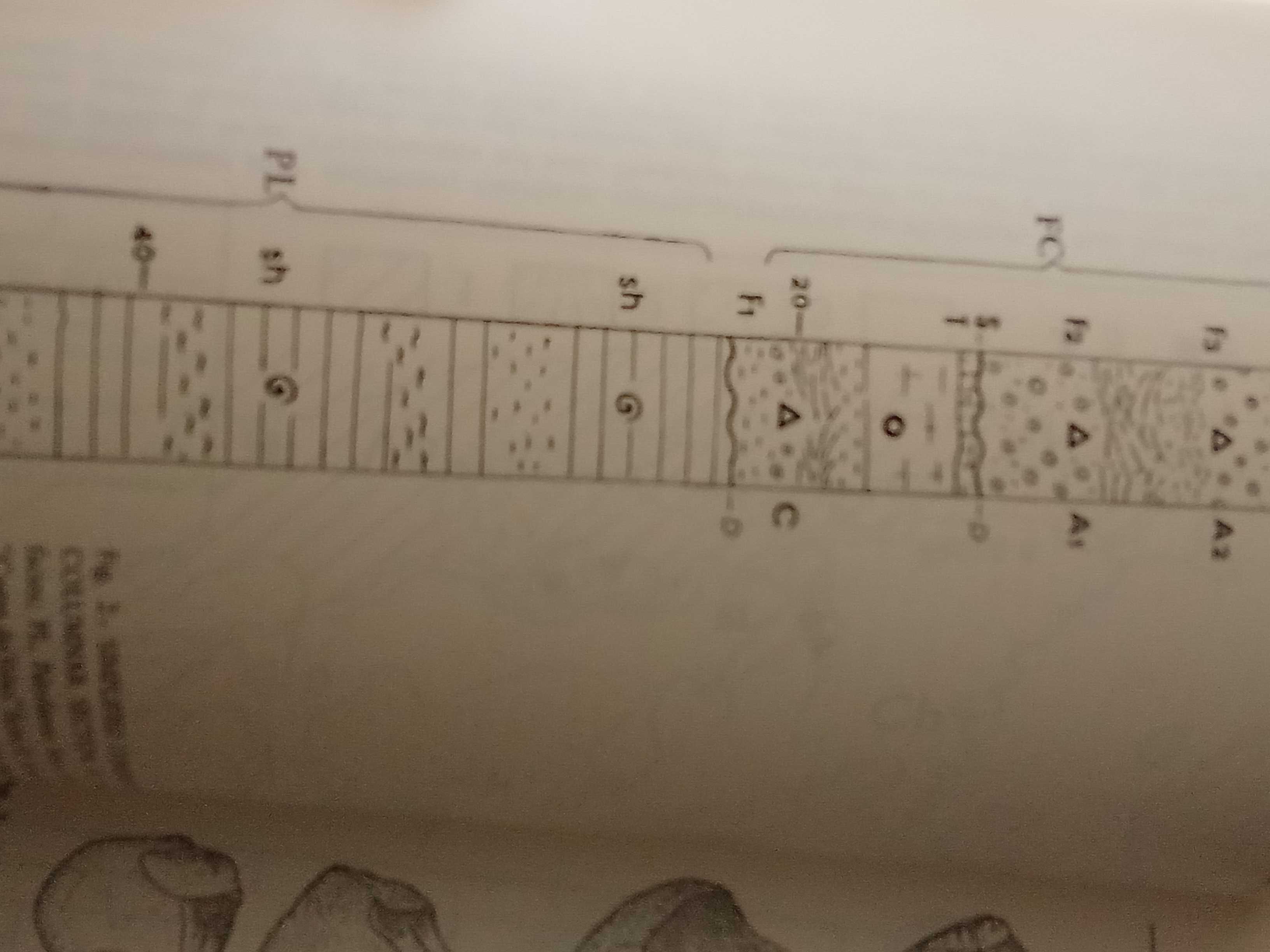 Hominídeos do pleistoceno e a sua distribuição pela eurasia.