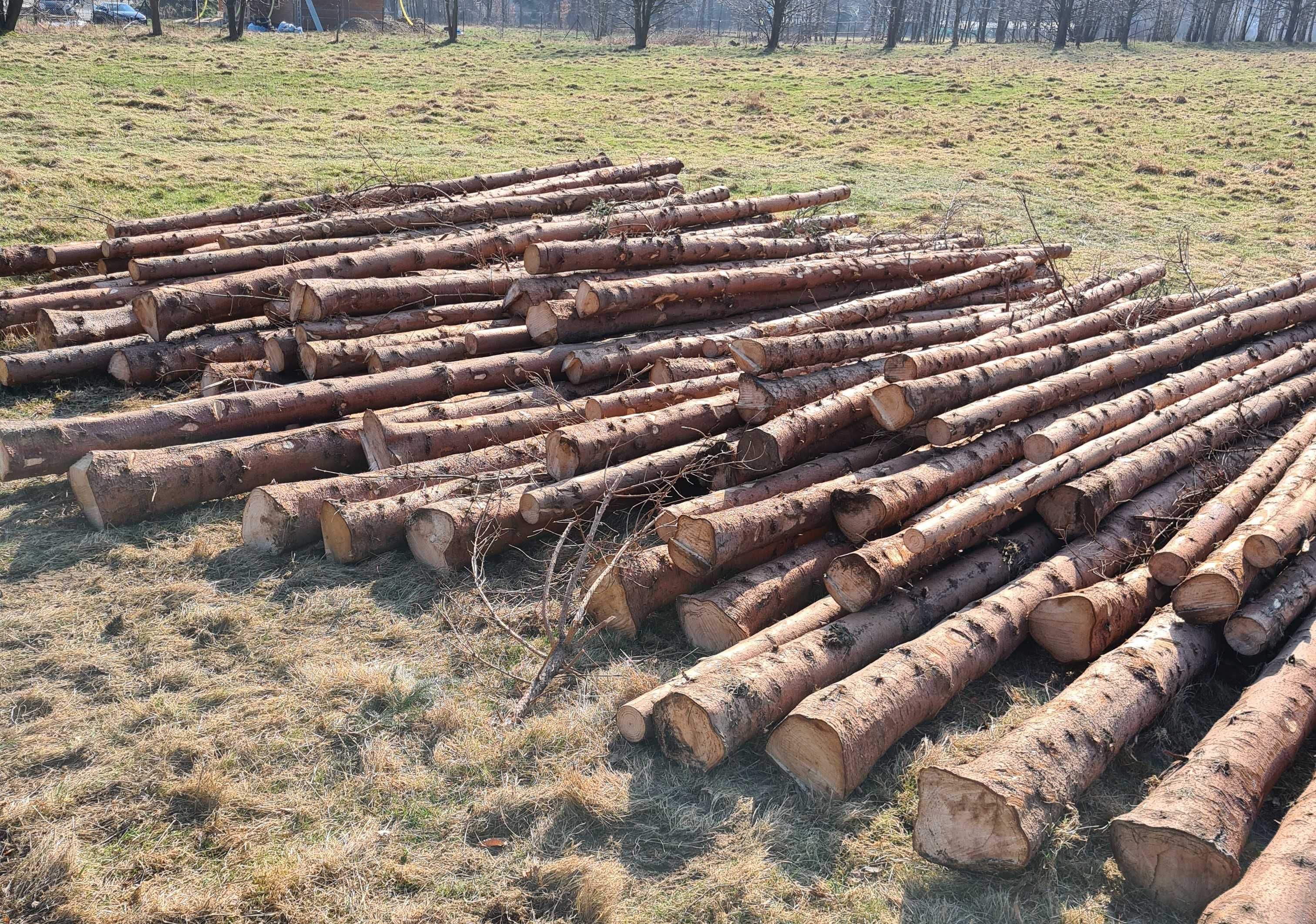 Stęple budowlane świerkowe, słupki drewniane 3m 4m 6m