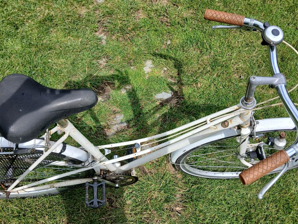 Rower damka 2010 rok