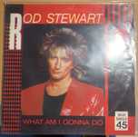 Rod Stwart LP vinil