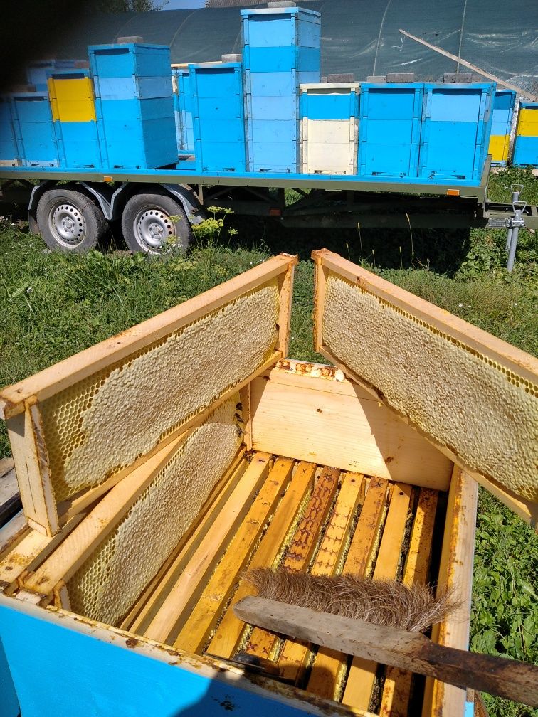 Бджолопакети 200 і більше