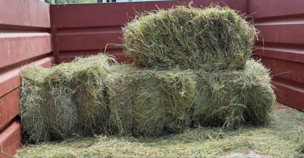 Siano w kostkach ekologiczne drobne