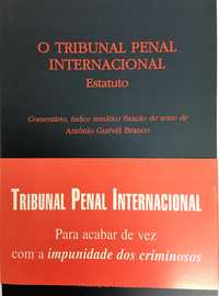 Tribunal Penal Internacional
 - Estatuto