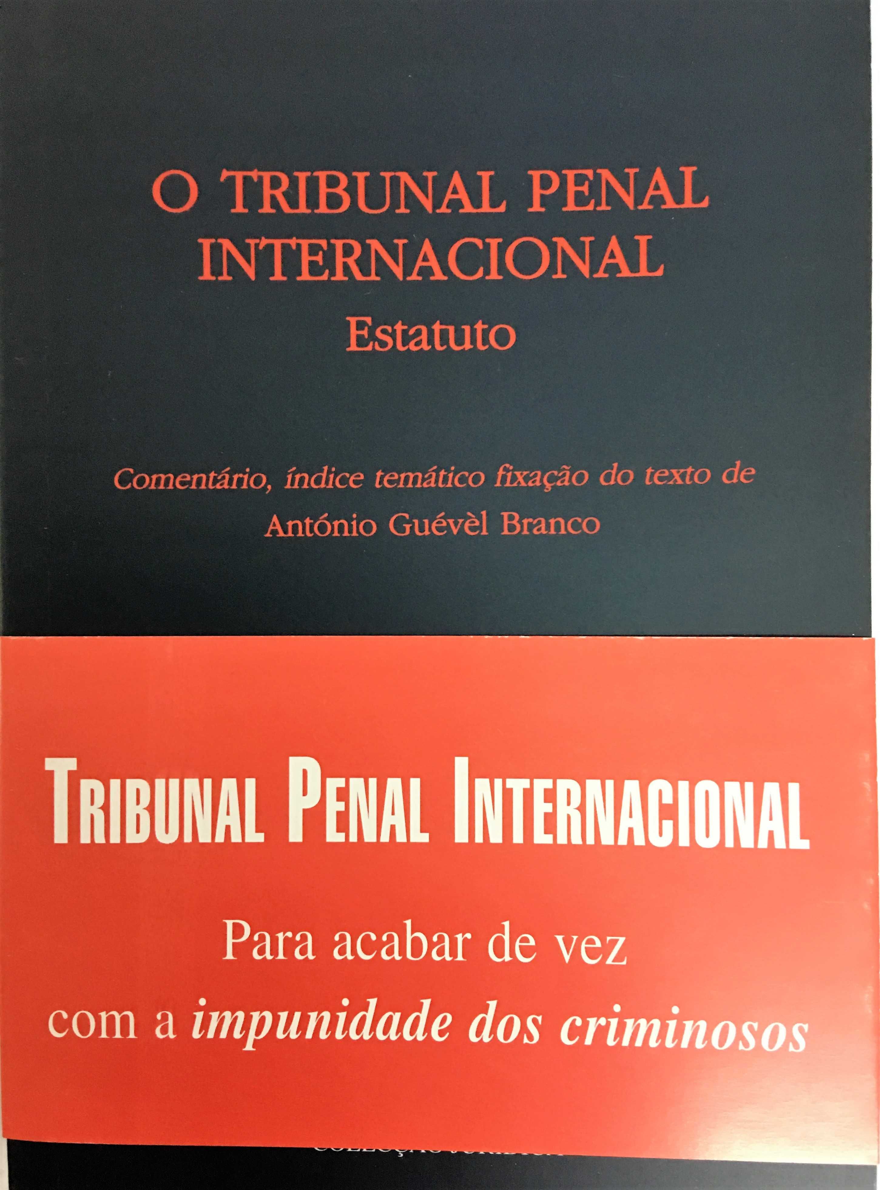 Tribunal Penal Internacional
 - Estatuto