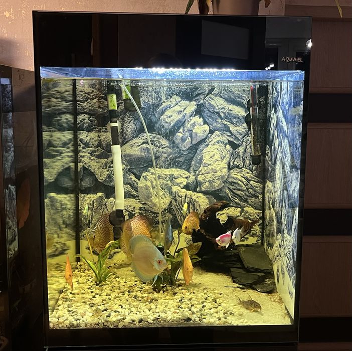 Akwarium AQUAEL 125l