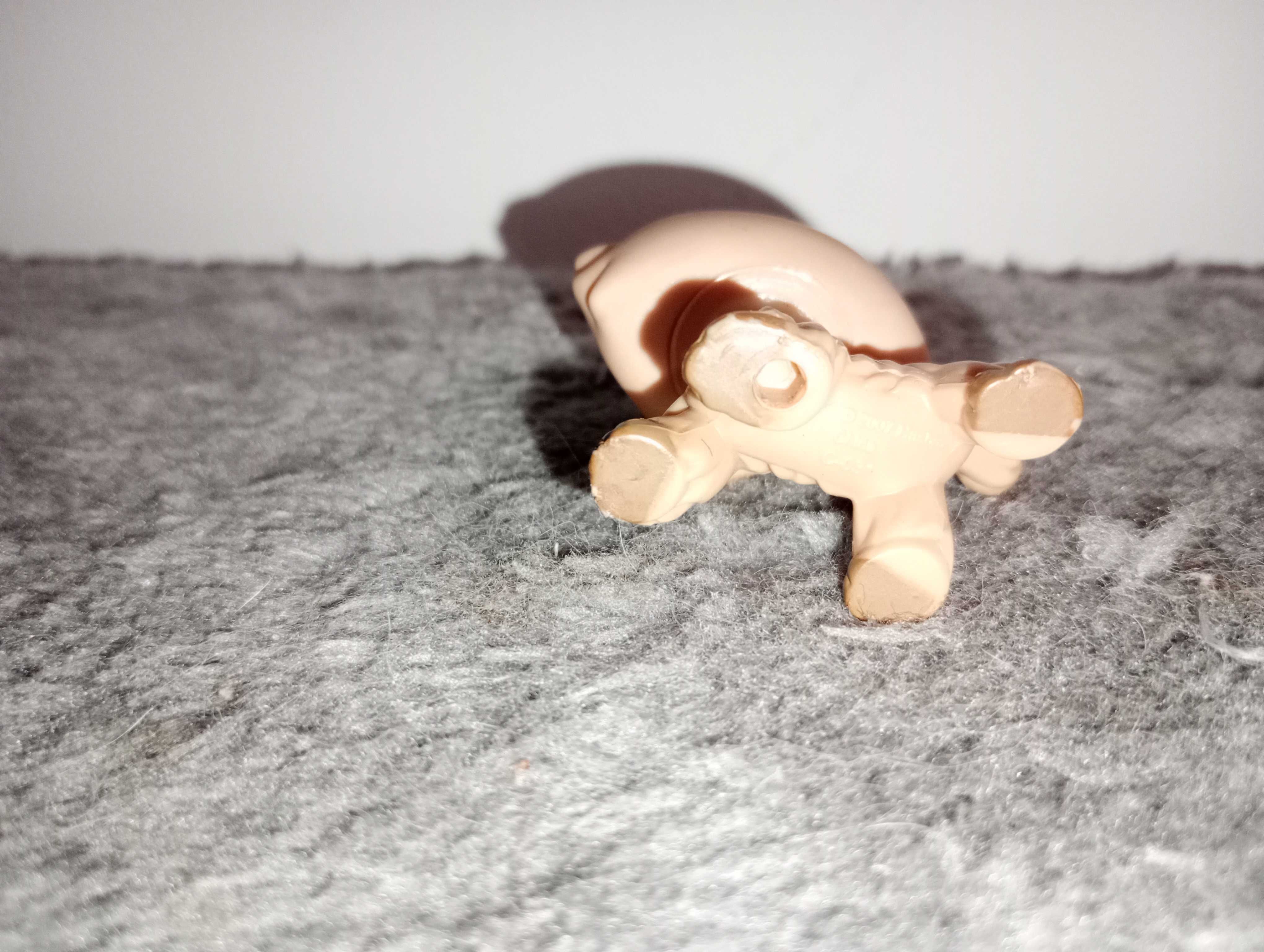 Lps Collie oryginał