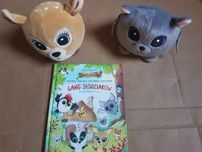 Maskotki z Biedronki plus ksiązki