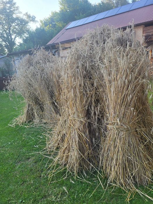 Maty ze słomy do uli – naturalne, solidne, ręcznie robione