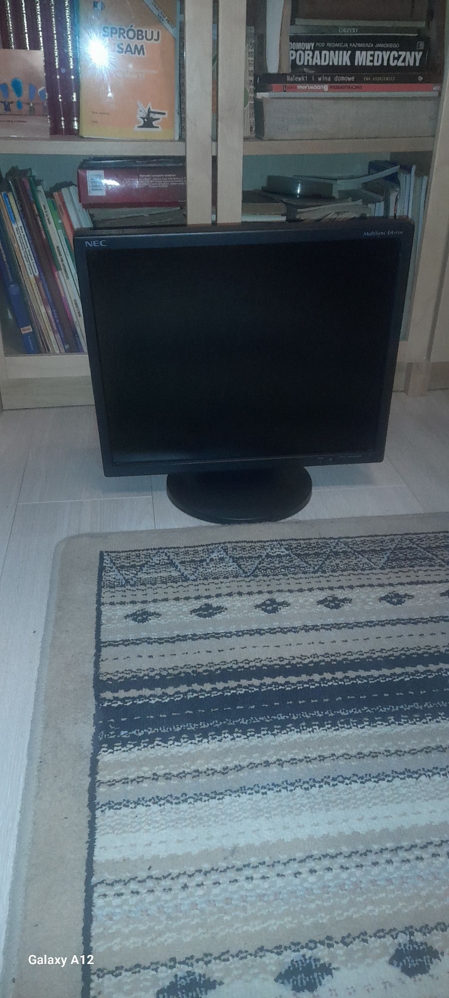 Monitor  NEC LED 19"