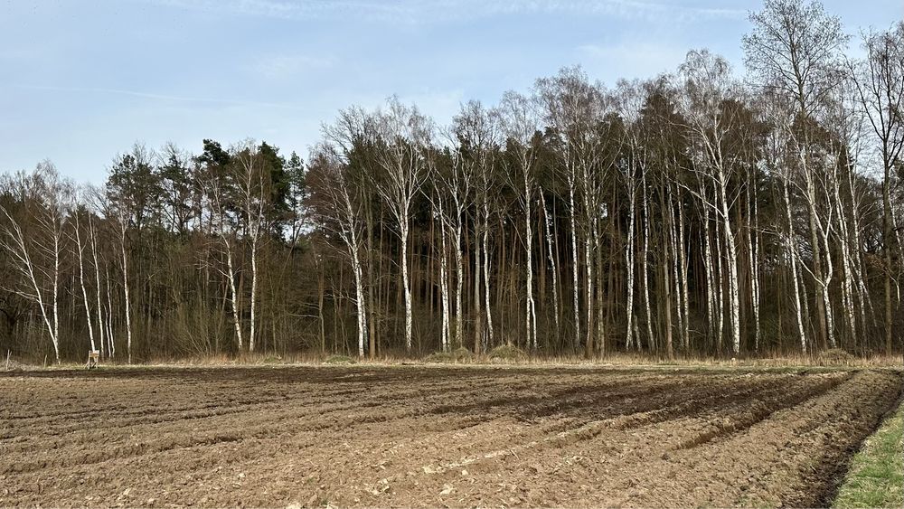 Sprzedam działkę budowlaną w Jaźwinach