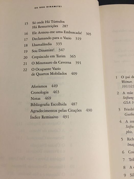 L. Wittgenstein / F. Nietzsche