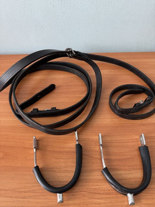 Шпори та повод для коня.