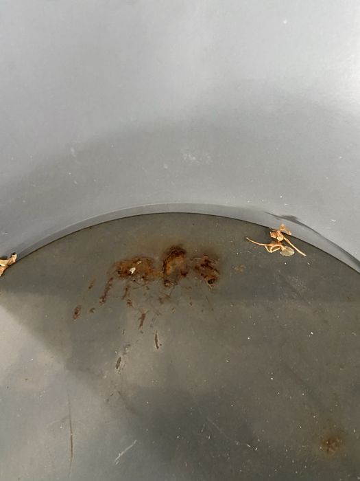 Quatro cadeiras de esplanada (ADICO) e uma mesa