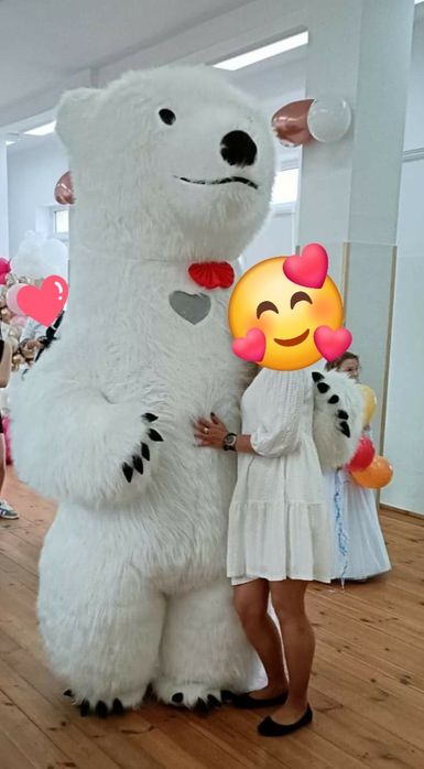 Miś Domiś, Miś Niko, Miś Panda do wynajęcia na każdą okazję.
