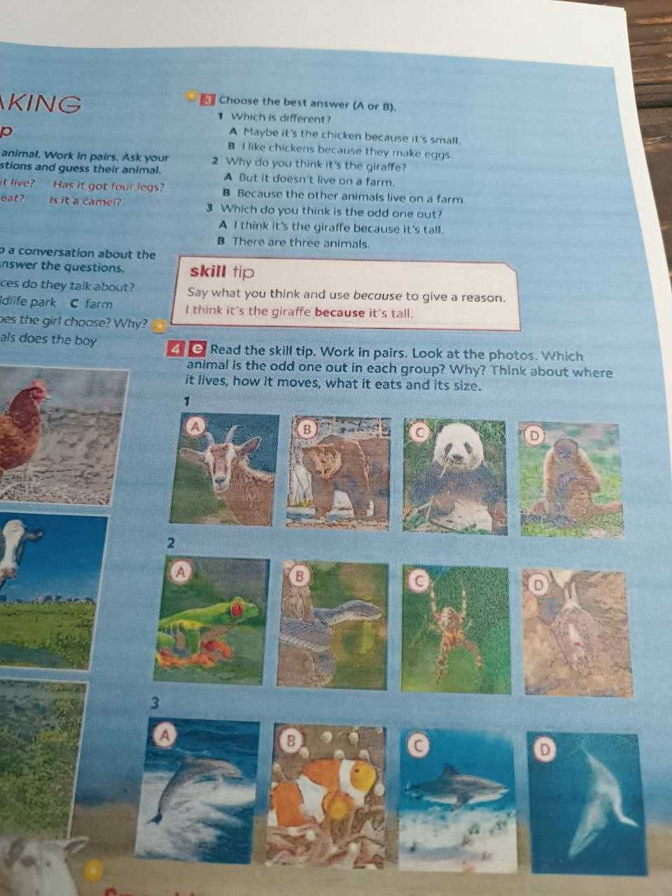 Gold Experience A1 2nd edition Student book