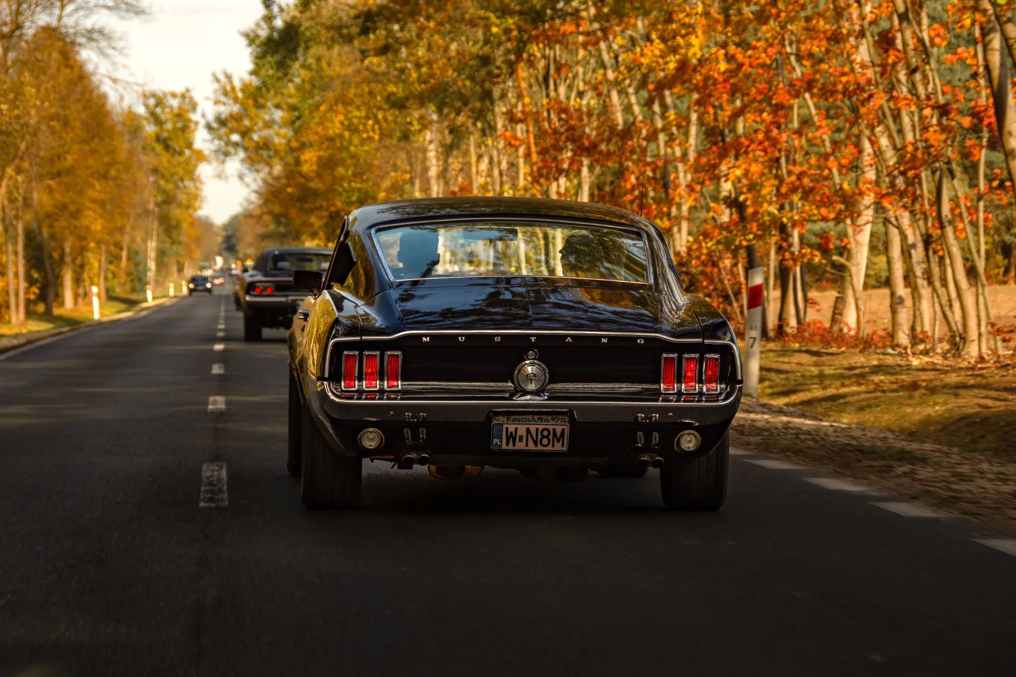 Ford Mustang Mustang Fastback GTA 1967 (S-code)