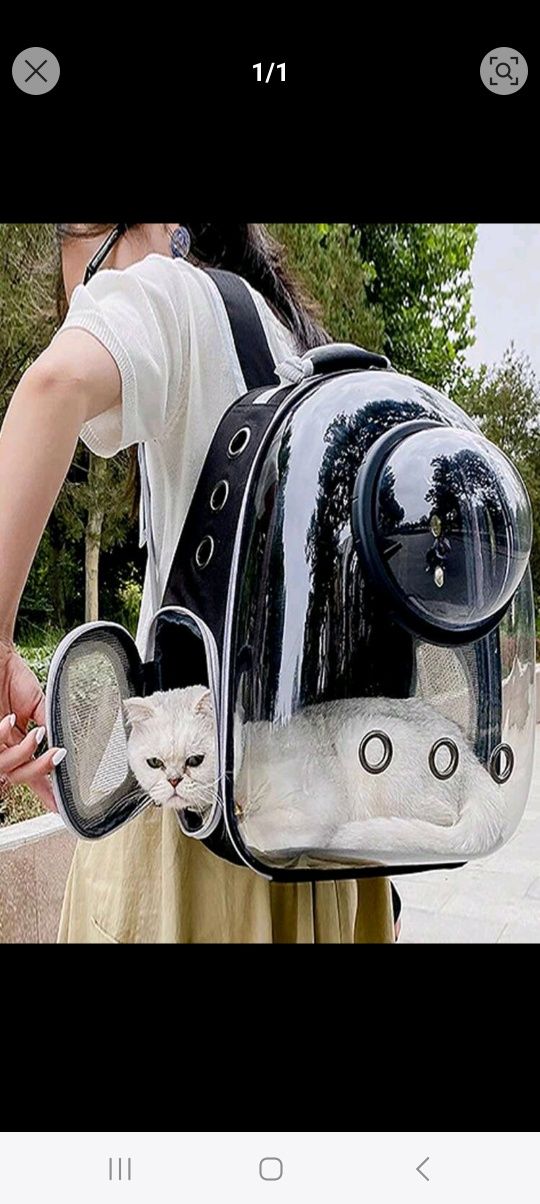 Transportadora animais