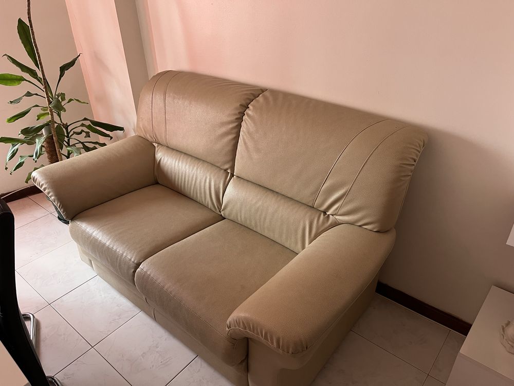 Sofás Pele Conjunto Beje