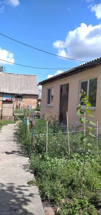 Безкоштовно приватний дім в селі недалеко від Полтави