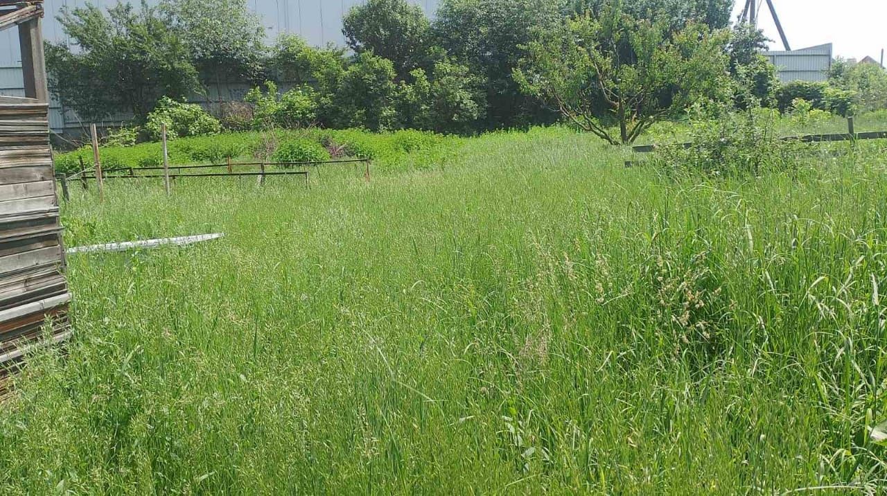 Покос травы быстро не дорого качественно и ответственно.