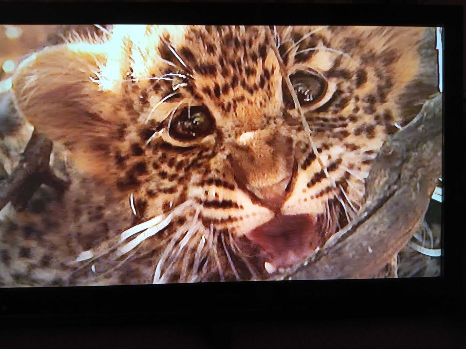 Telewizor Thomson 32HT4253  32" LCD  z uchwytem do powieszenia