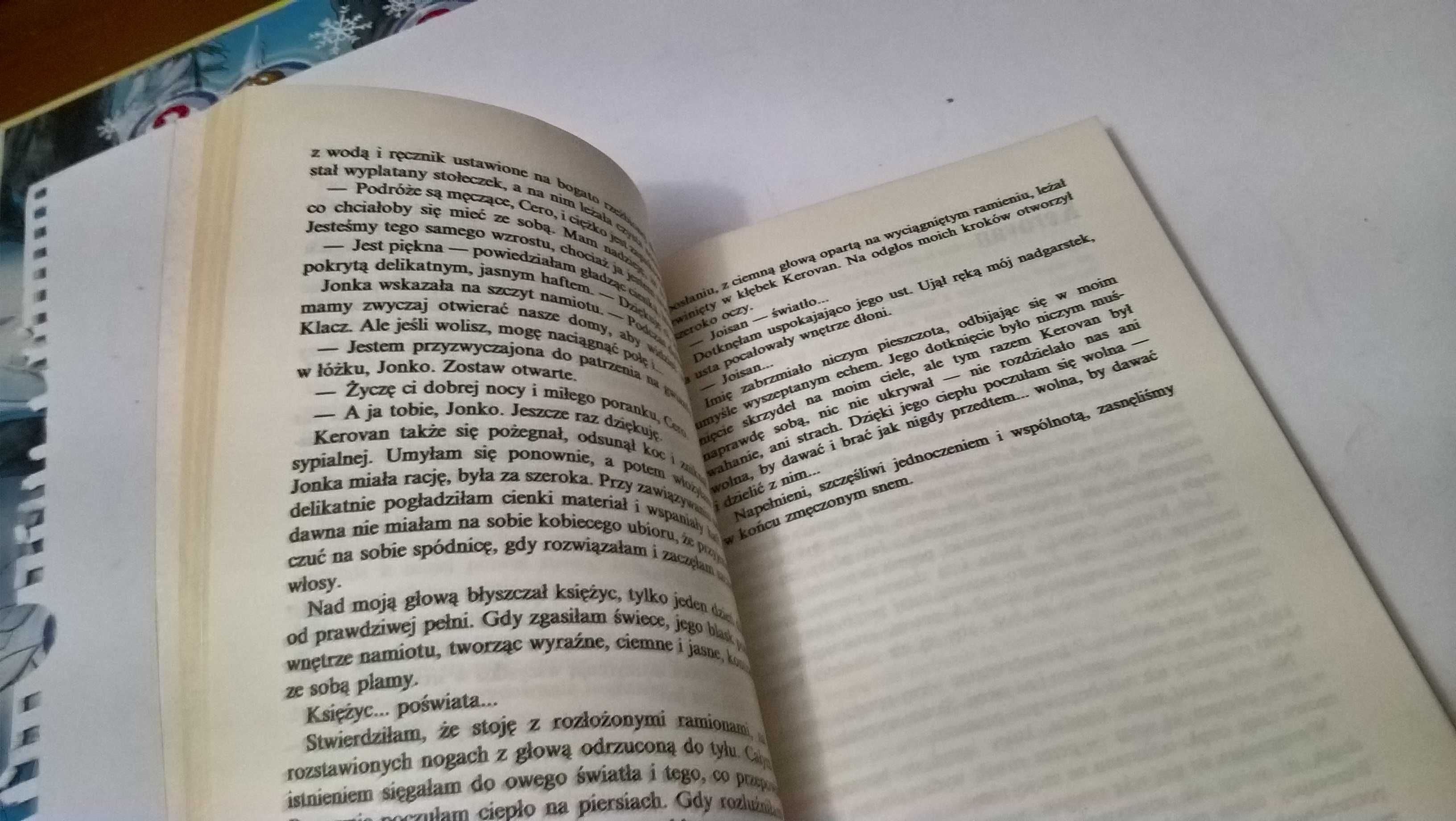 Gniazdo Gryfa
Andre Norton,